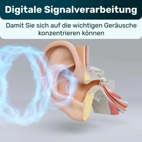 EaWdpdGFsLVNpZ25hbC1Qcm9jZXNzaW5nX0hlYXJpbmctQWlkX0RFLmpwZw